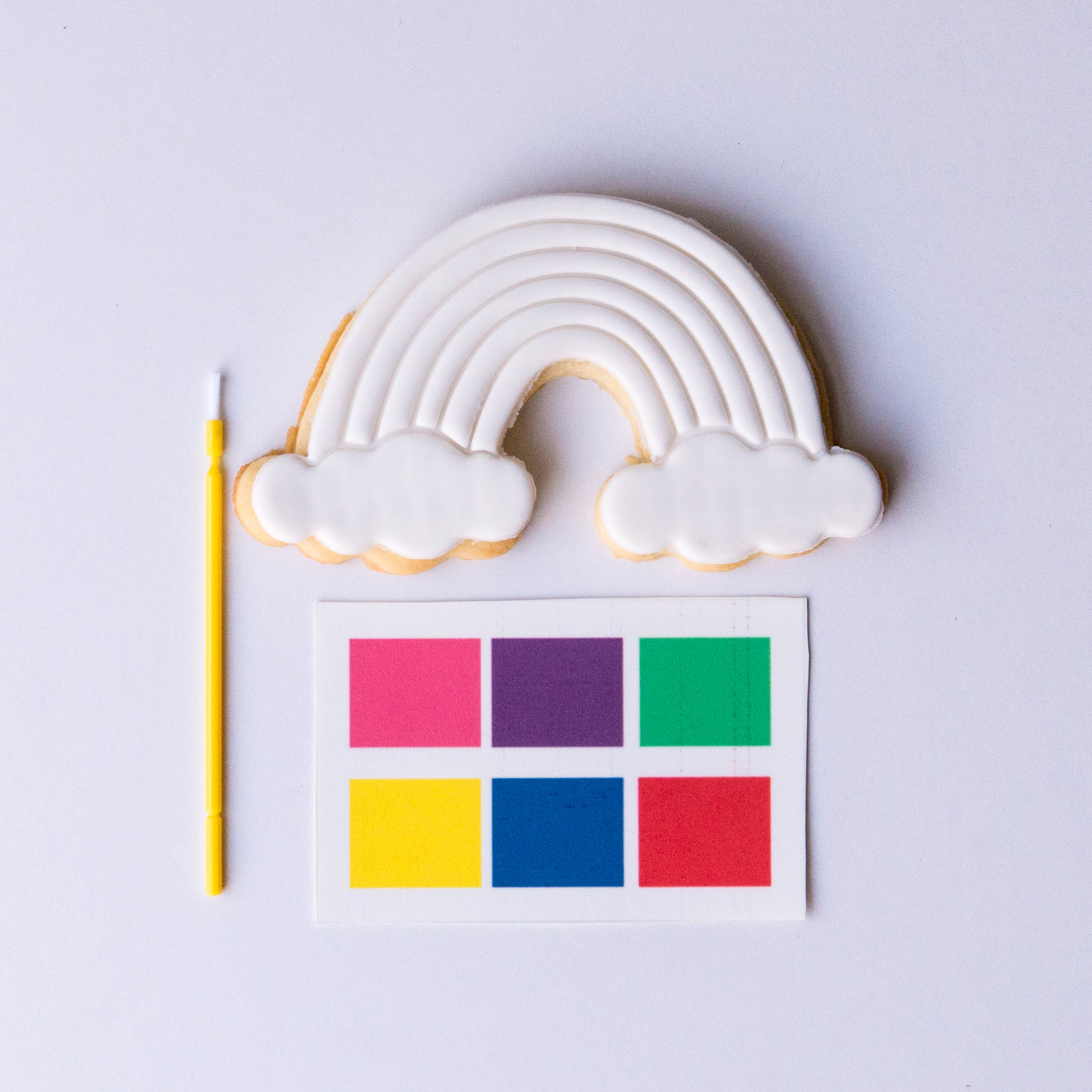 Paint Your Own Cookie Pack Rainbow Em